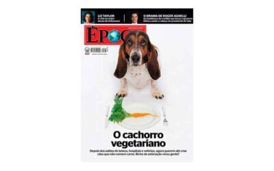 Cachorro vegetariano? Discutindo o “cão vegetariano”
