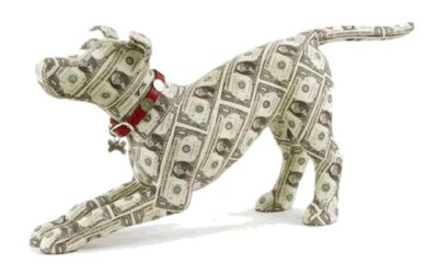 A Medicina Veterinária no Terceiro Mundo