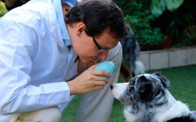 Parabéns pelo dia do Veterinário!