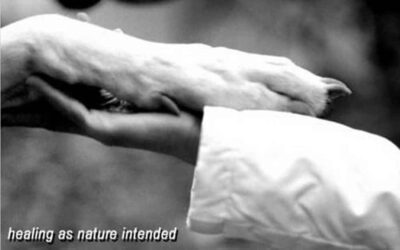 Massagens em formas de carinhos