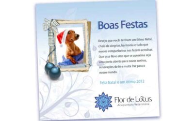 Festas de Final de Ano!