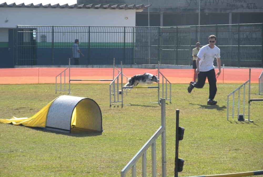 Gaia, FOCA no agility!!! - Flor de Lótus