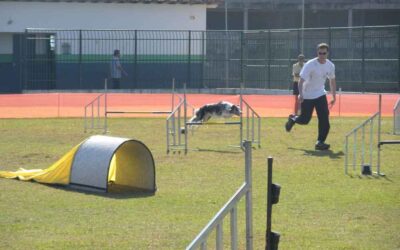 Medicina Veterinária Esportiva