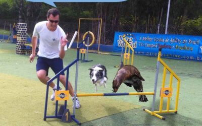 Gaia, FOCA no agility!!!