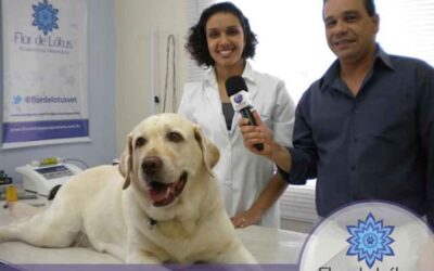 Flor de Lótus na TV!