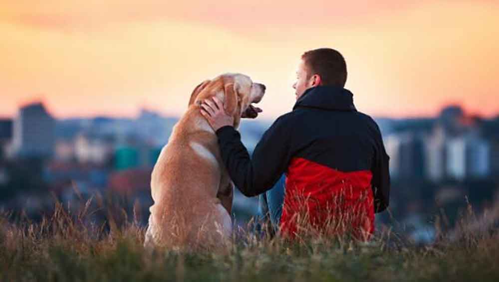 Os cães ajudam a melhorar a saúde dos donos