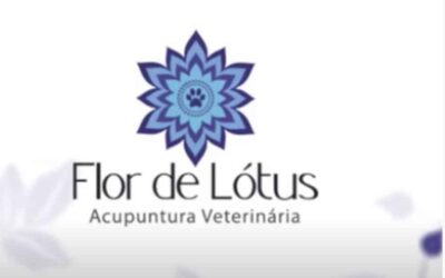 Conhecendo as técnicas de Acupuntura Veterinária…