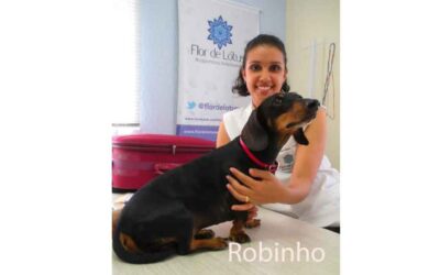 Entrevista com Robinho