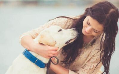 Será que os cães sabem quando você está triste?