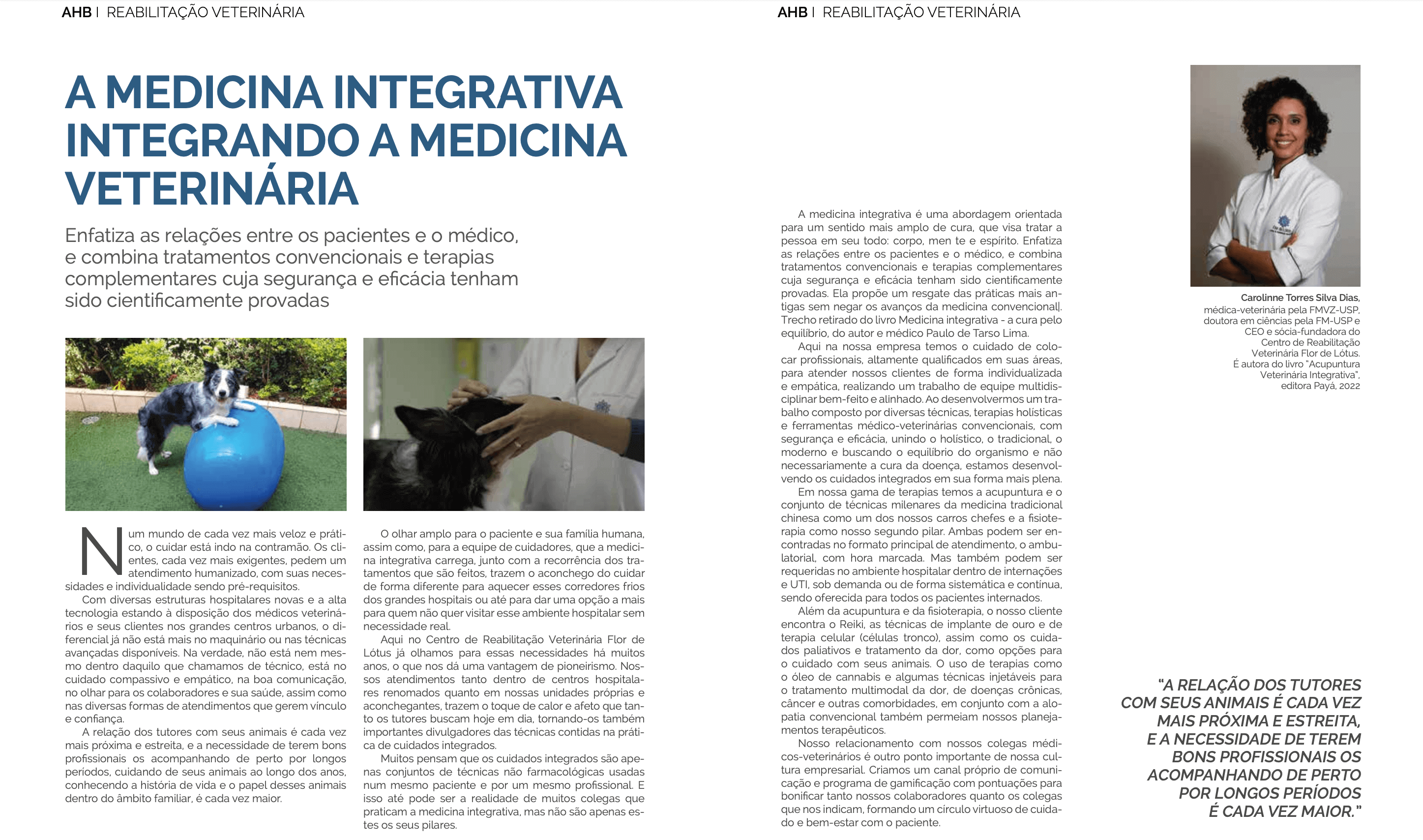 Fofinhos… não gordos!  Flor de Lótus - Acupuntura Veterinária